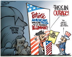 IRS OUTRAGE  by John Cole