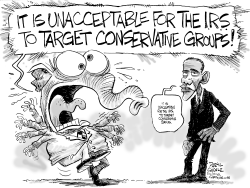 IRS SCANDAL AND OBAMA by Daryl Cagle