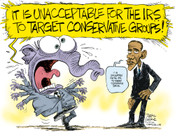 IRS SCANDAL AND OBAMA  by Daryl Cagle