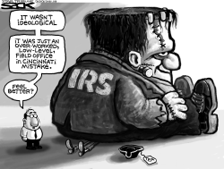 IRS TEA SQUASH by Steve Sack