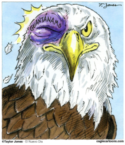 Our National Symbol -  by Taylor Jones