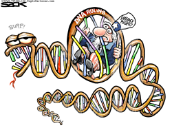 DNA RULING  by Steve Sack