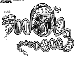 DNA RULING by Steve Sack