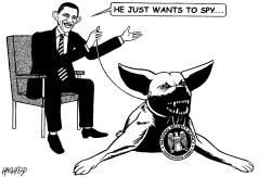 OBAMA AND THE NSA by Rainer Hachfeld