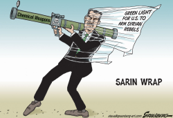SARIN WRAP by Steve Greenberg