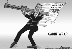 SARIN WRAP BW by Steve Greenberg