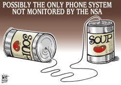 NSA MONITORING,  by Randy Bish