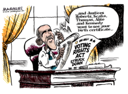 VOTING RIGHTS ACT  by Jimmy Margulies