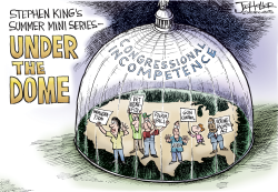 UNDER THE DOME by Joe Heller