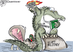DEMOCRACY IN EGYPT by Pat Bagley