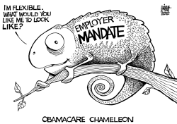 OBAMACARE CHANGES, B/W by Randy Bish
