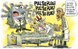 OBAMACARE - PULL THE PLUG  by Daryl Cagle
