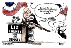 LIZ CHENEY FOR US SENATE , by Jimmy Margulies