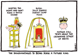 DISADVANTAGES OF A FUTURE KING by Ingrid Rice
