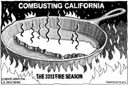 LOCAL-CA 2013 FIRE SEASON by Monte Wolverton