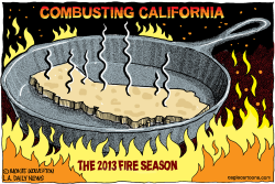 LOCAL-CA 2013 FIRE SEASON  by Monte Wolverton
