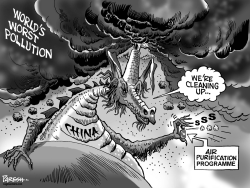 CHINA, THE POLLUTER by Paresh Nath