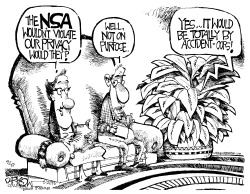 THE ACCIDENTAL NSA by John Darkow