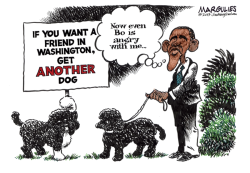OBAMA DOGS BO AND SUNNY  by Jimmy Margulies