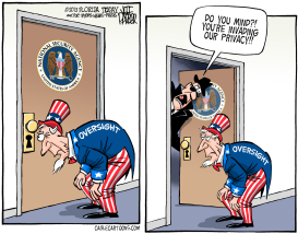 NSA OVERSIGHT PRIVACY  by Jeff Parker