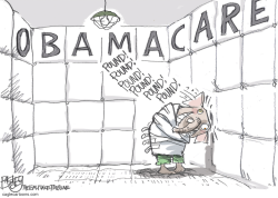 POUNDING OBAMACARE  by Pat Bagley