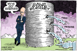 LOCAL-CA LEAKING BUDGET RESERVE  by Monte Wolverton