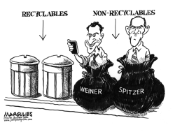 WEINER AND SPITZER LOSE  by Jimmy Margulies