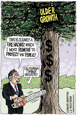 LOCAL-CA OLDER GROWTH TIMBER HARVEST  by Monte Wolverton