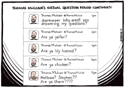 MULCAIRS VIRTUAL QUESTION PERIOD by Ingrid Rice