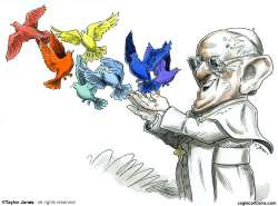 POPE FRANCIS TENDS FLOCK -  by Taylor Jones