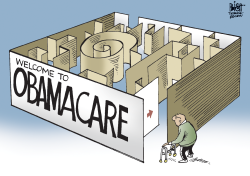 OBAMACARE MAZE,  by Randy Bish
