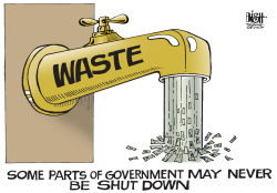 GOVERNMENT WASTE,  by Randy Bish