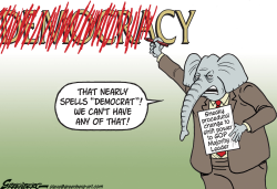 DEMOCRACY RULE by Steve Greenberg