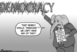 DEMOCRACY RULE BW by Steve Greenberg