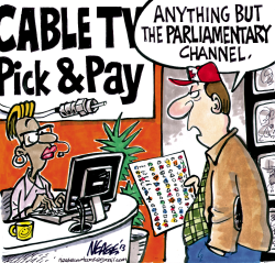 PICK AND PAY by Steve Nease