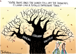 BRANCHES by Joe Heller