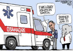 OBAMACARE'S ROUGH START by Jeff Darcy