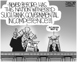 GOVERNMENT INCOMPETENCE BW by John Cole