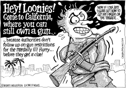 LOCAL-CA MENTALLY ILL WITH GUNS by Monte Wolverton
