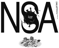 NSA SNAKE BW by John Cole
