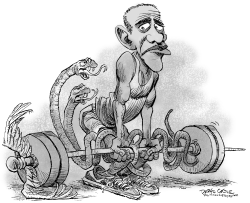 OBAMACARE WEIGHTLIFTING by Daryl Cagle