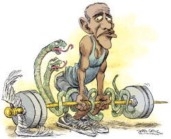 OBAMACARE WEIGHTLIFTING  by Daryl Cagle