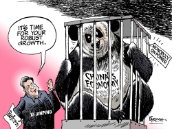 CHINA'S GROWTH  by Paresh Nath