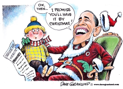 OBAMACARE DELIVERY by Dave Granlund