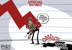 APPROVAL RATINGS  by Eric Allie