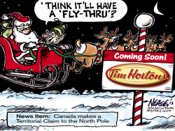 NORTH POLE by Steve Nease