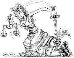 COURT RULING ON THE NSA by Daryl Cagle