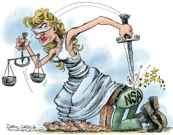 COURT RULING ON THE NSA  by Daryl Cagle