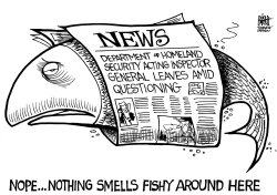 HOMELAND SECURITY QUESTIONS, B/W by Randy Bish