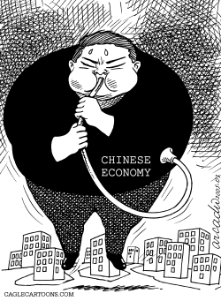 THE CHINESE FAT ECONOMY by Arcadio Esquivel
